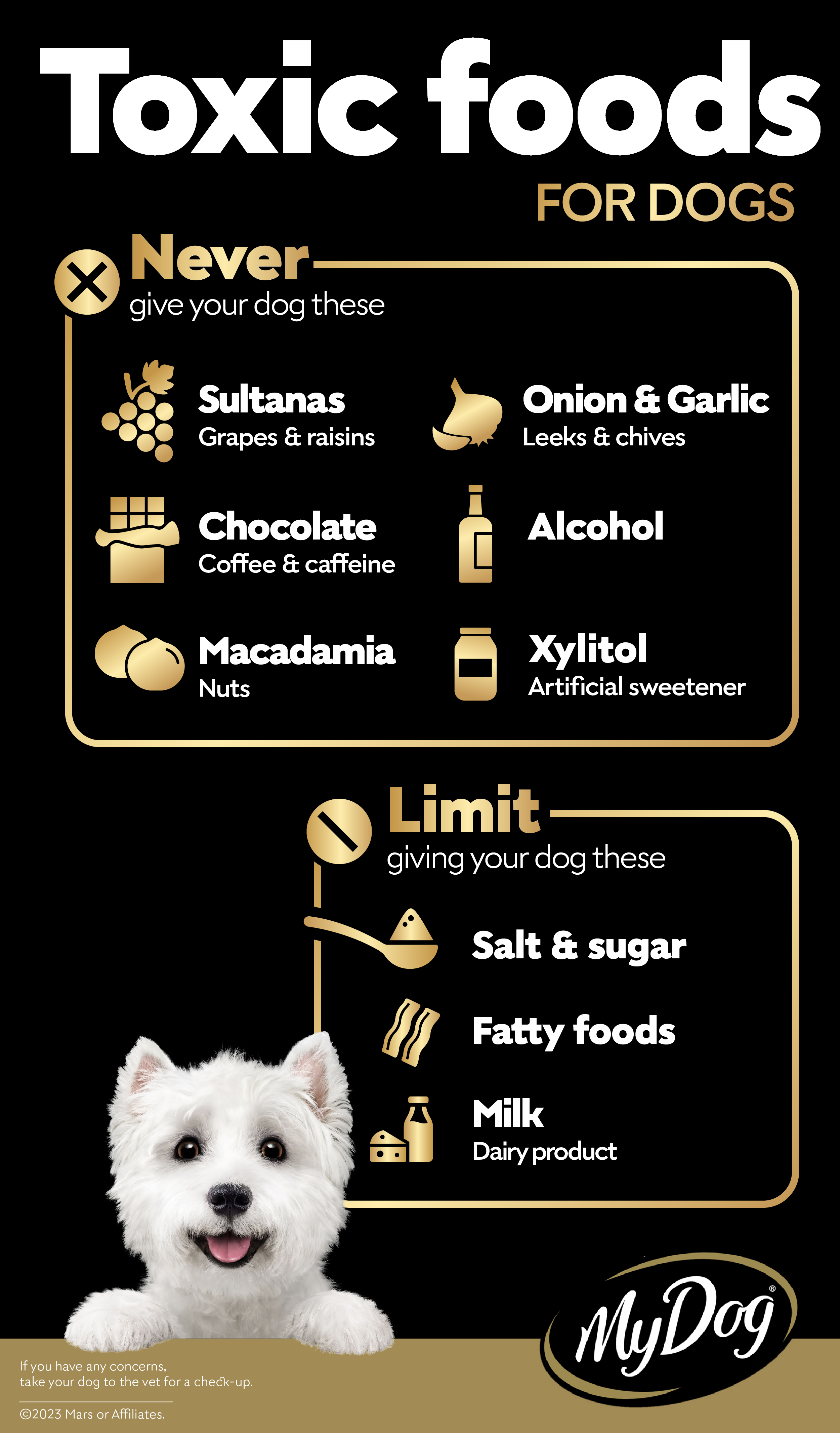 The Foods Toxic to Dogs My Dog